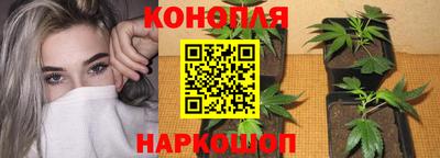 индика Балашиха