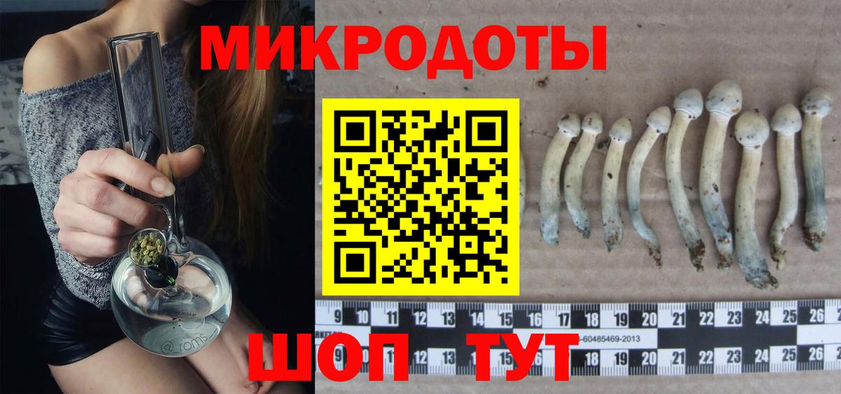 Асино  Псилоцибиновые грибы ЛСД  Вход с VPN 
