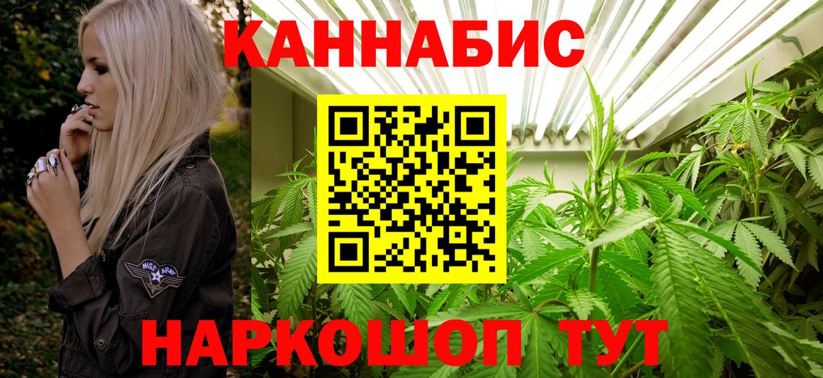 Конопля OG Kush Асино